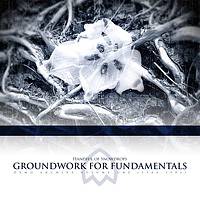 Handful Of Snowdrops : Groundwork for Fundamentals